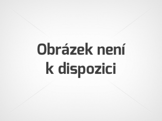 Pojištění majetku Pojištění majetku